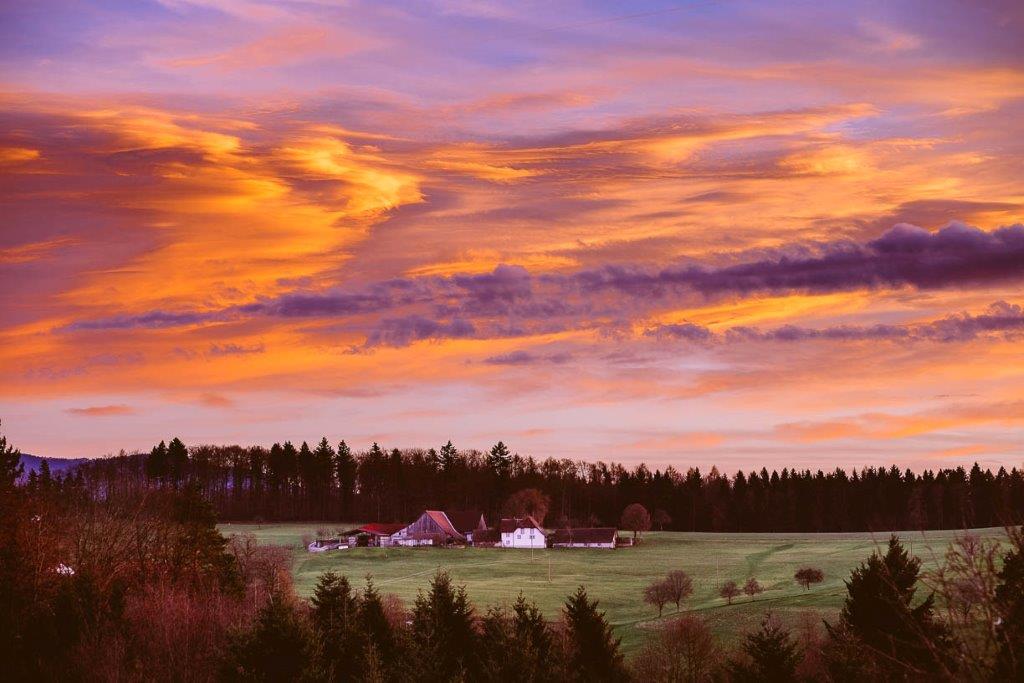 141222-Freiamt-003klein