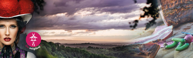 header-newsletter-kosmos-schwarzwald-2