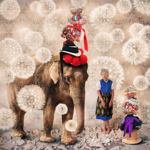 dandelion_michaela-kindle_ks-newsletter