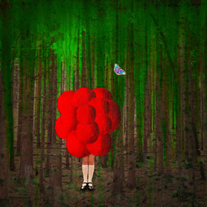 Head In The Clouds Michaela Kindle KS Newsletter