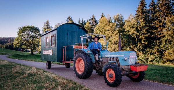 fidelius-waldvogel-vondaheim-2020
