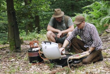 Wilde Sau im Schwarzwald