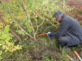 Landschaftspflegetag Fröhnd BSG Schwarzwald