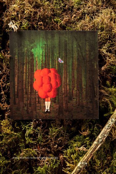 schwarzwald-anders_022