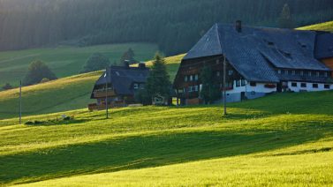 titisee-neustadt_spriegelsbach_bauernhof_sommer