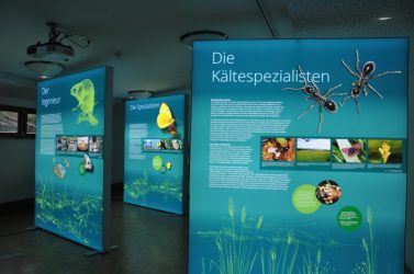 zukunft-moore-11-800x531