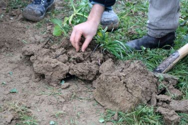 2023 02 14 Humus Feldtag Aspichhof Ottersweier 2