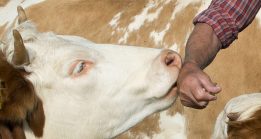 9df92779-28b0-4e03-a405-66ff25c3b04d